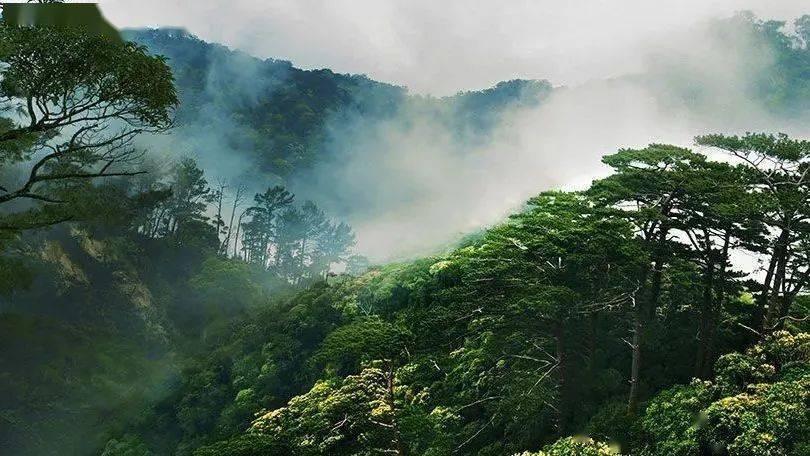 福特烈马 越野精髓与现代科技的完美融合